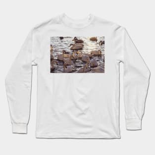 Swan Love Long Sleeve T-Shirt